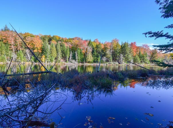Ch. du Lac-Doré S., Duhamel, QC J0V1G0, CA, Duhamel, Quebec J0V1G0