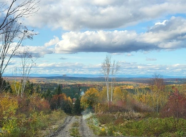 Rue Principale E., Sainte-Euphémie-sur-Rivière-du-Sud, Quebec G0R2Z0