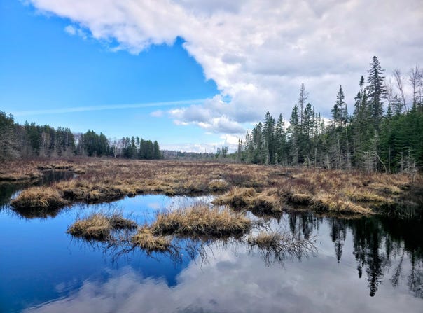 130 6e Rang, Sainte-Hedwidge, Quebec G8H0B2