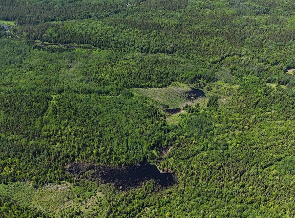 7e Rang E., Saint-Joseph-de-Kamouraska, Quebec G0L3P0