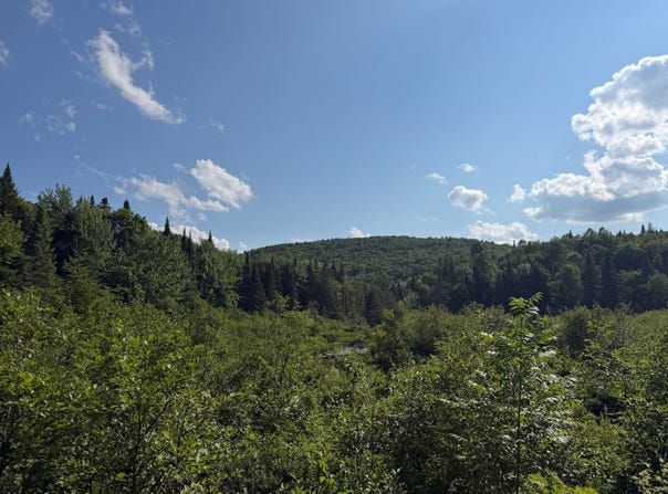 Ch. Maplewood, Saint-Adolphe-d'Howard, Quebec J0T2B0
