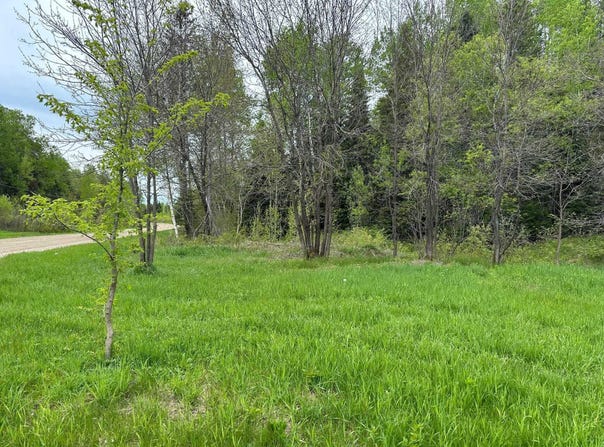 1168 Ch. Picanoc, Otter Lake, Quebec J0X2P0