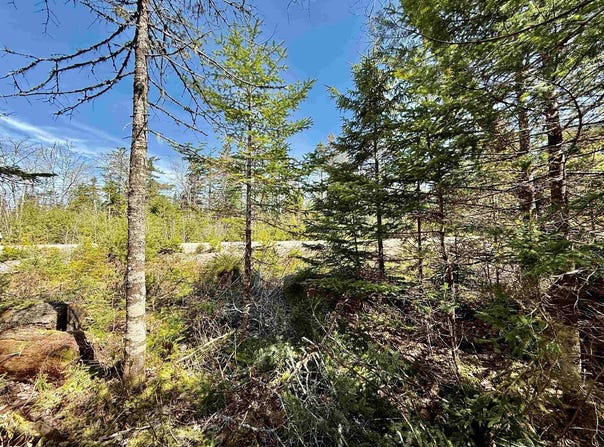 Dynasty Court Lot 32, Sherwood, Nova Scotia B0J 1J0