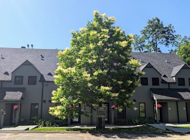 280 Ch. des Grappes, Piedmont, QC J0R1K0, CA, Piedmont, Quebec J0R1K0