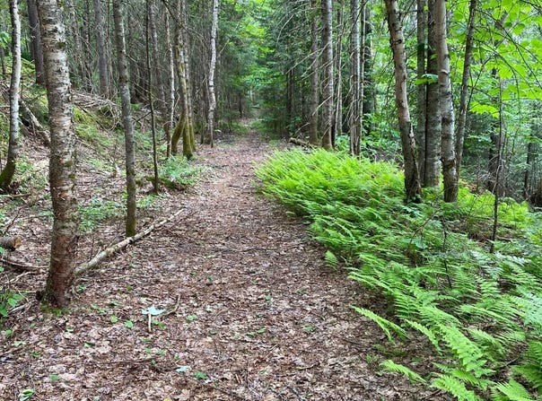Ch. de la Corniche, Saint-Adolphe-dHoward, QC J0T2B0, CA, Saint-Adolphe-d'Howard, Quebec J0T2B0