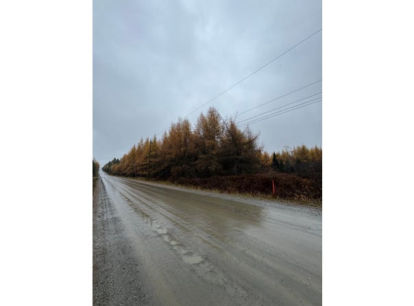 8e Rang O., Notre-Dame-des-Bois, Quebec J0B2E0