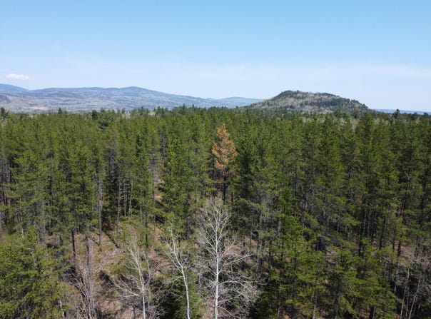 Ch. du Friche , Clermont, QC G4A1E9, CA, Clermont, Quebec G4A1E9