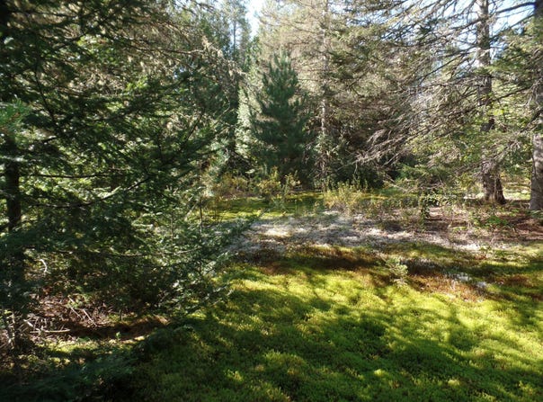 121 Ch. Renaud, Val-des-Bois, Quebec J0X3C0