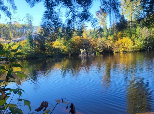 290 Ch. du Réservoir, Péribonka, Quebec G0W2G0