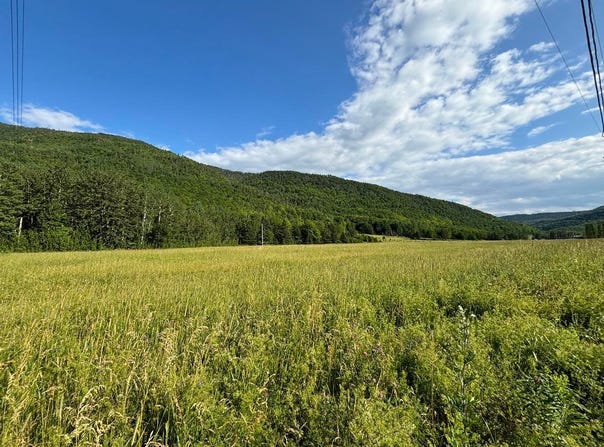 Route de lÉglise, Saint-Maxime-du-Mont-Louis, QC G0E1L0, CA, Saint-Maxime-du-Mont-Louis, Quebec G0E1L0