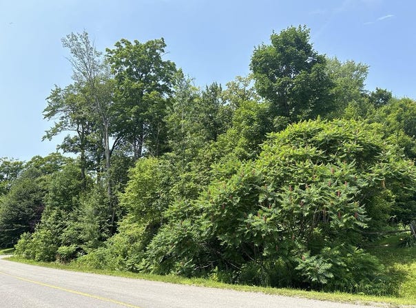 210 Rue des Gentianes, Sainte-Sophie, Quebec J5J 2X3