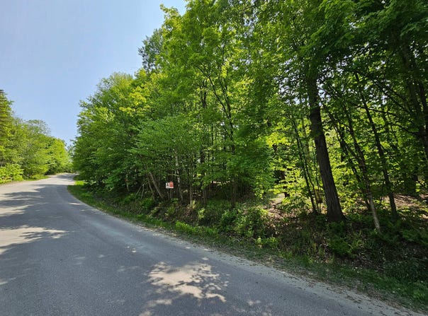 Rue du Mont-Rainer, Sainte-Agathe-des-Monts, QC J8C2Z7, CA, Sainte-Agathe-des-Monts, Quebec J8C2Z7