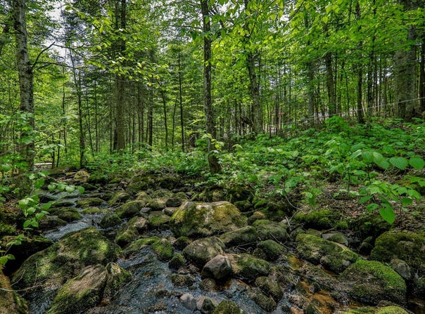Rue des Gardénias, Sainte-Marguerite-du-Lac-Masson, QC J0T2N0, CA, Sainte-Marguerite-du-Lac-Masson, Quebec J0T2N0
