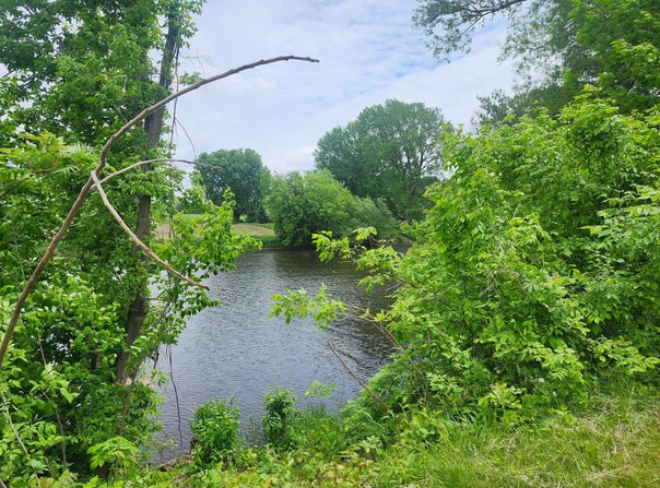 1579 Rg de la Rivière S., Saint-Pie, QC J0H1W0, CA, Saint-Pie, Quebec J0H1W0