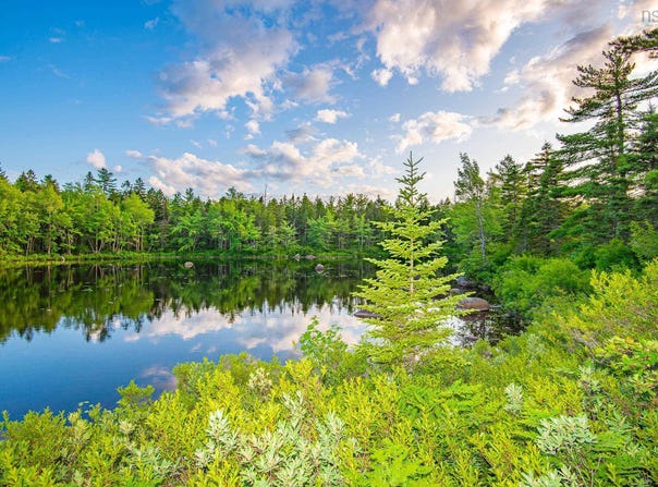 Virginia Road Lot 12, Springhill, Nova Scotia B0S 1A0