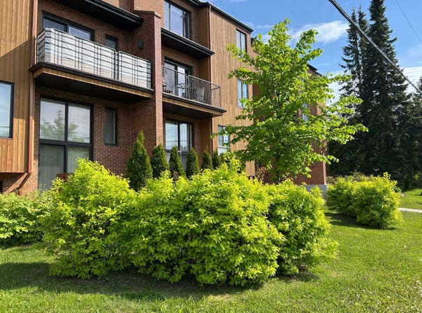 312 Rue du Bosquet, Rimouski, Quebec G5L8P2