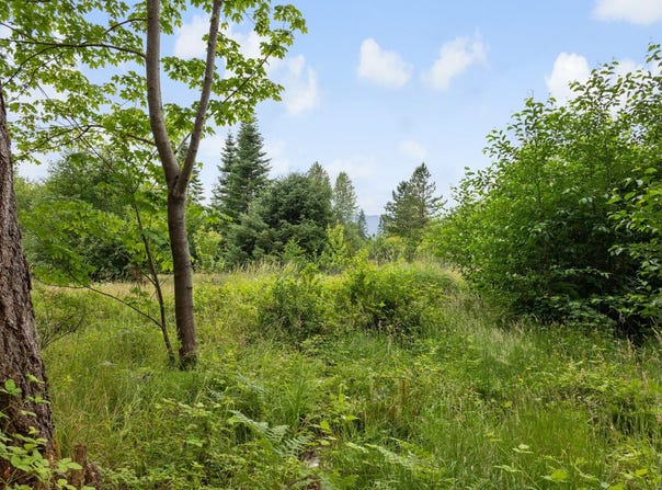 Lot B Cathy Cres, Courtenay, British Columbia V9N 7G2