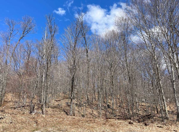 Ch. du Lac-Gustave, Wentworth-Nord, QC J0T1Y0, CA, Wentworth-Nord, Quebec J0T1Y0