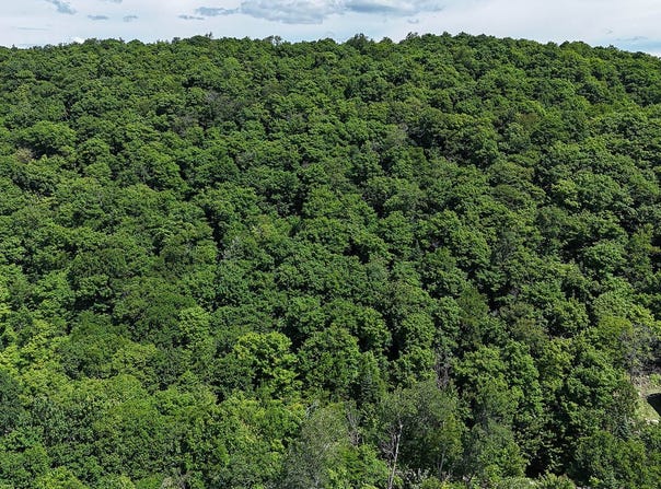 Ch. Jackson, Wentworth-Nord, Quebec J0R1Y0