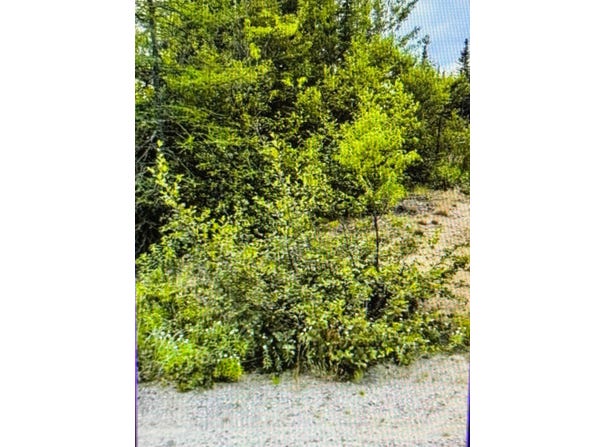 165 Rue Saturne, Sept-Îles, Quebec G0G2B0