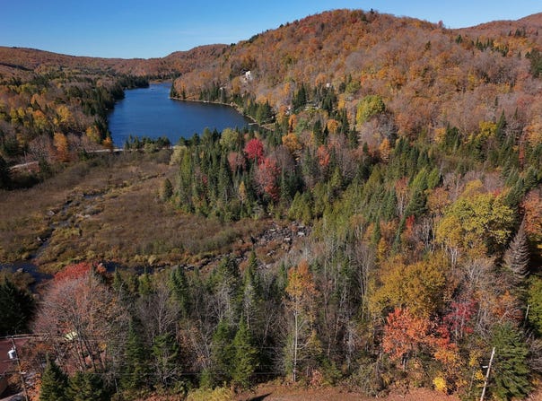 Ch. Maplewood, Saint-Adolphe-d'Howard, Quebec J0T2B0