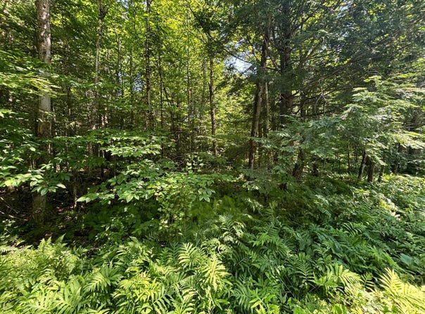 Ch. du Pipeline, Potton, QC J0E1X0, CA, Potton, Quebec J0E1X0