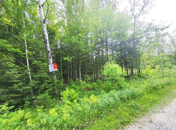 Rue du Faisan, Magog, QC J1X4T9, CA, Magog, Quebec J1X4T9