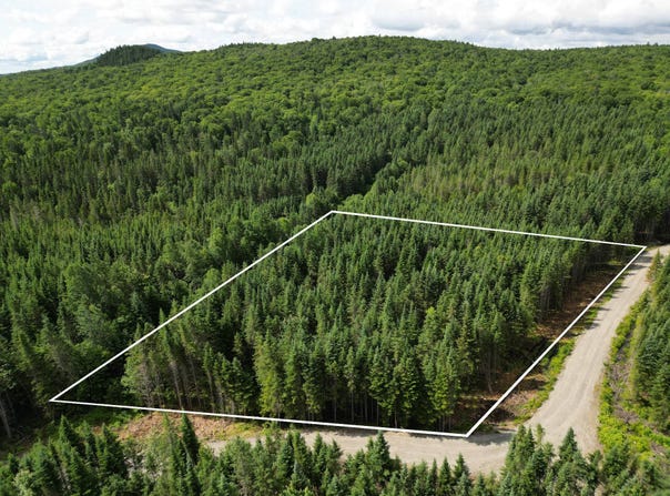Rue Non Disponible-Unavailable, Saint-Fabien-de-Panet, QC G0R2J0, CA, Saint-Fabien-de-Panet, Quebec G0R2J0