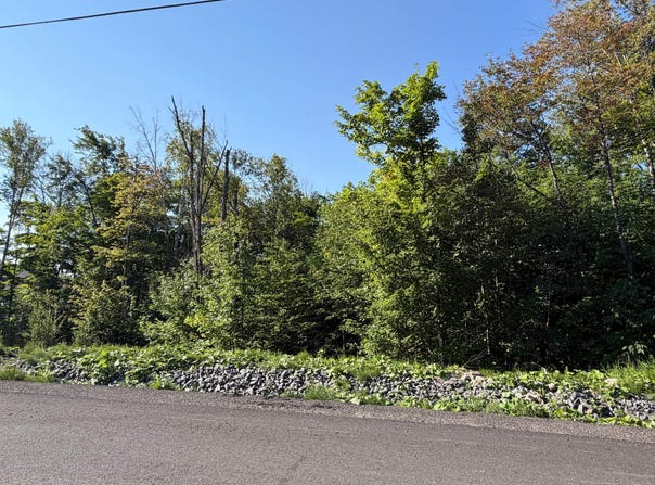 Rue de l'Excursion, Morin-Heights, Quebec J0R1H0