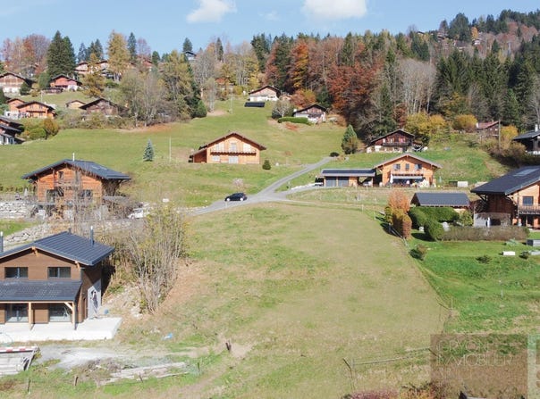Chemin des Saves, Gryon, Vaud 1882