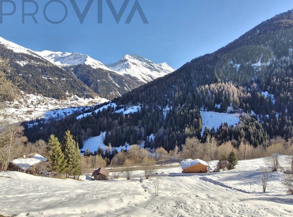 La duit, Grimentz, Valais 3961