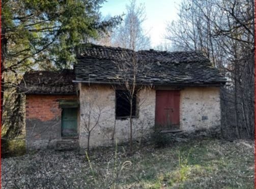 Zona Boiacch, Alto Malcantone-Breno, Ticino 6937
