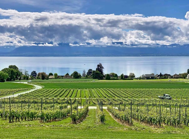 Bursinel, Bursinel, Vaud 1195