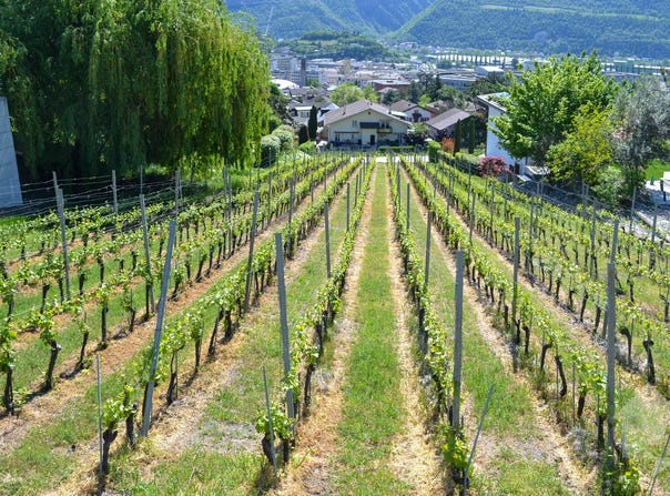 Sierre, Valais 3960