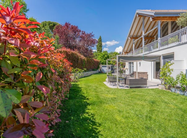 La Rippe, Vaud 1278