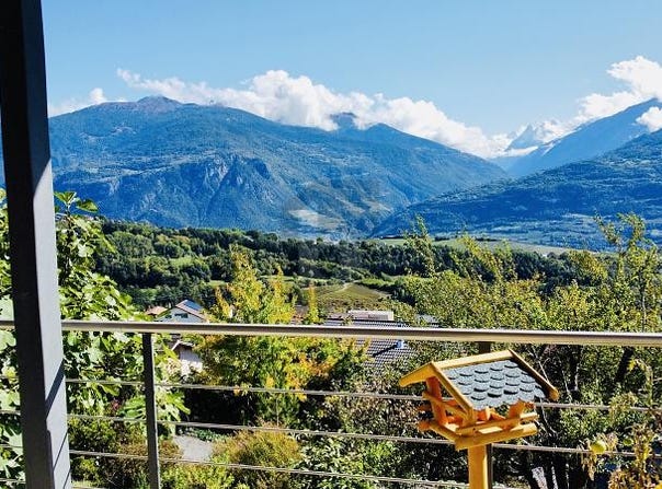 Drône VS, Valais 1965