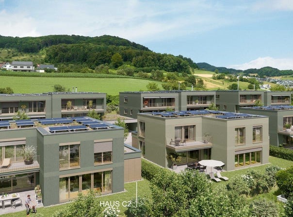 Gemsacker, Böckten, Basel-Landschaft (canton) 4461