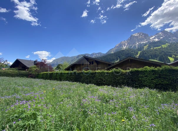 Centre du village de Rougemont, Rougemont, Vaud 1659
