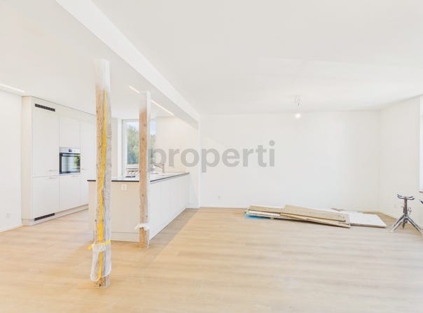 Rheineck, St. Gallen (canton) 9424