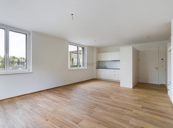 St. Gallen, St. Gallen (canton) 9000