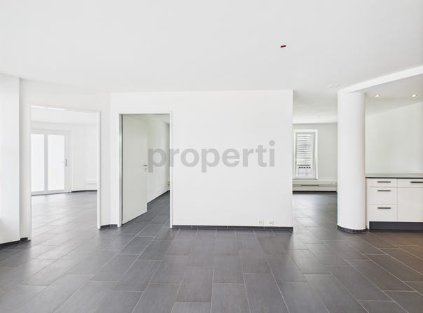 Gossau SG, St. Gallen (canton) 9200