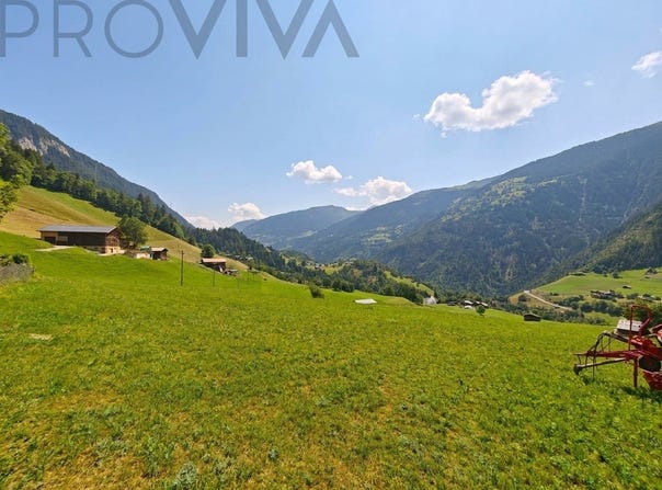 viertel, Grengiols, Valais 3993