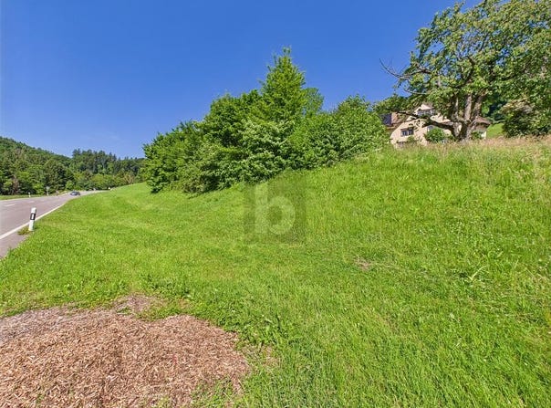 Berneck, St. Gallen (canton) 9442