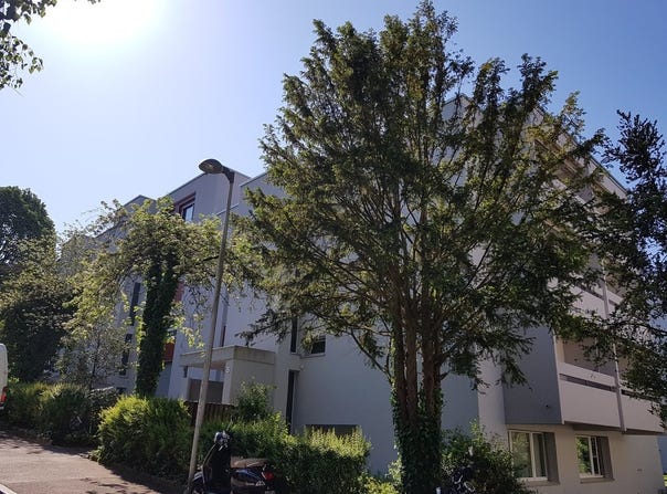 Hochbühlweg 1, Bern, Bern (canton) 3012