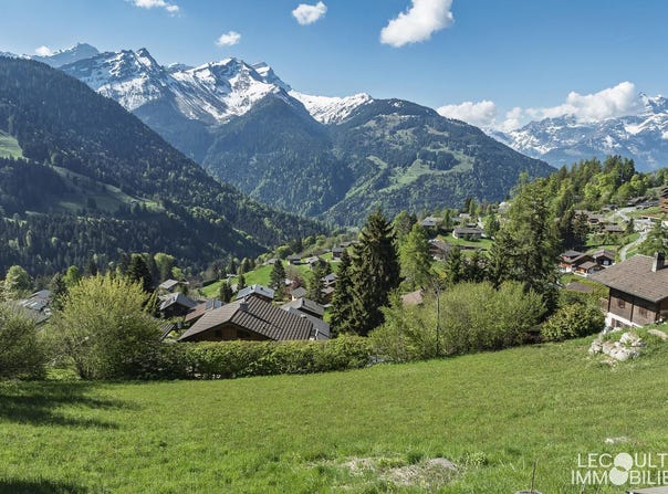 Gryon, Vaud 1882