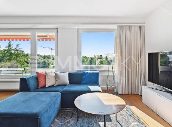 Birmensdorf ZH, Zürich (canton) 8903