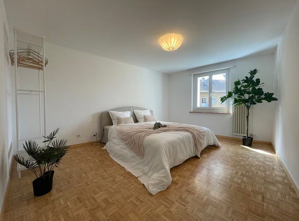 Schaffhausen, Schaffhausen (canton) 8200