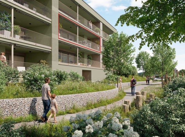 Gemsacker, Böckten, Basel-Landschaft (canton) 4461