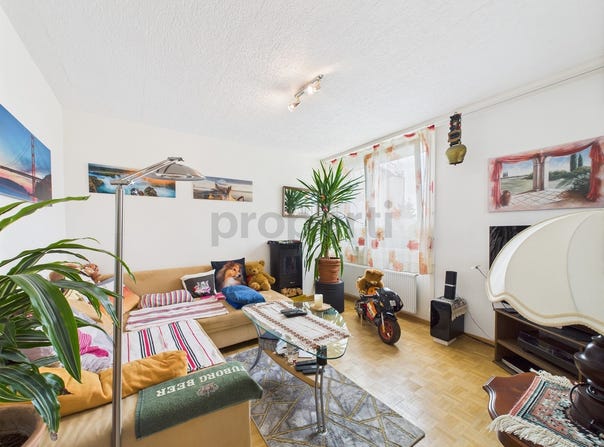 Grenchen, Solothurn (canton) 2540
