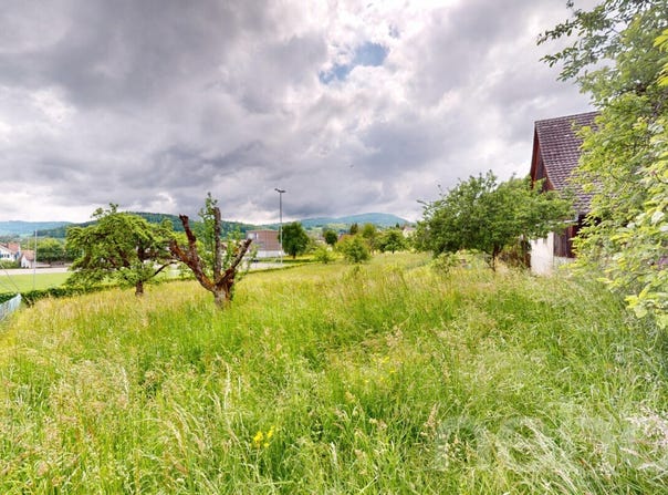 Arboldswil, Arboldswil, Basel-Landschaft (canton) 4424